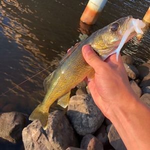 Meet your Posher, Garrett